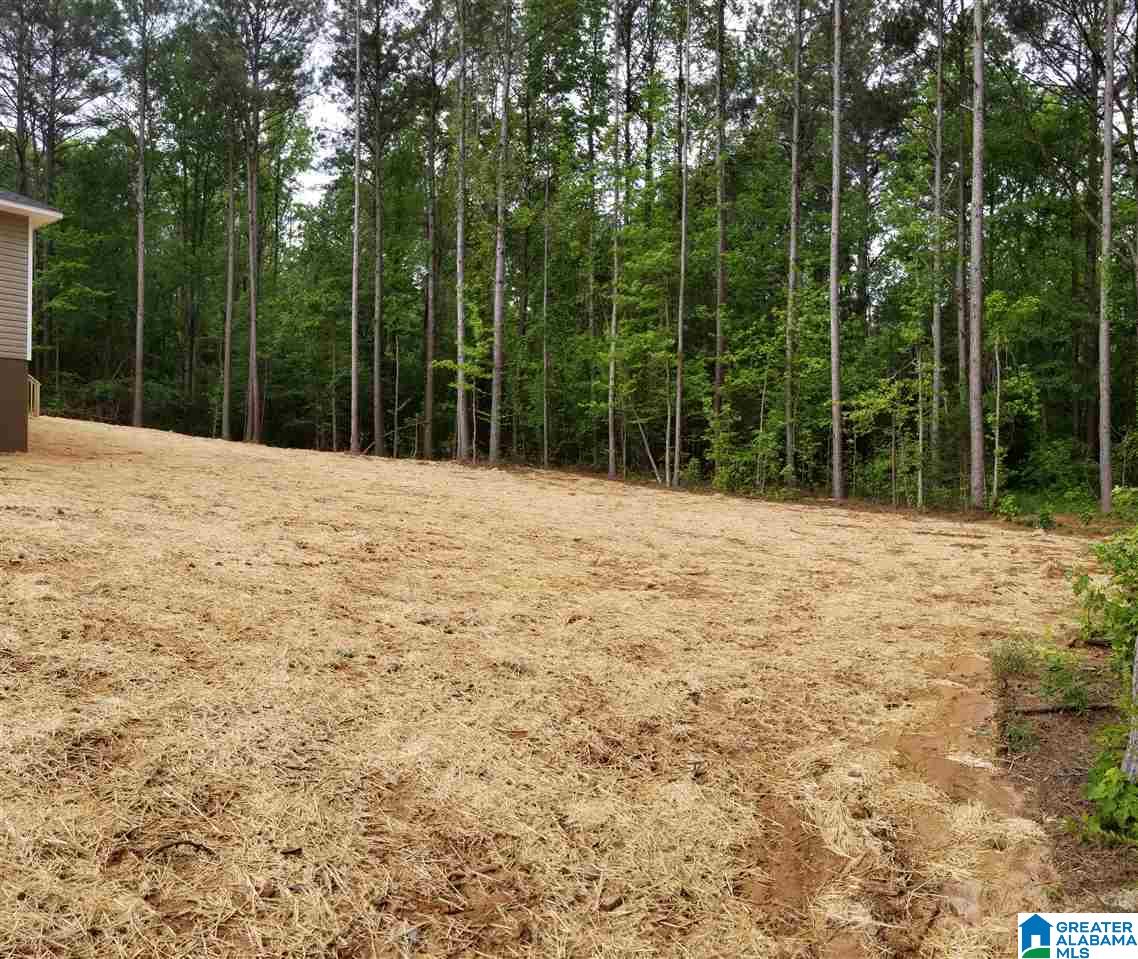 2963 Oscar Bradford Road Hayden, AL 35079 - Photo 19 of 21