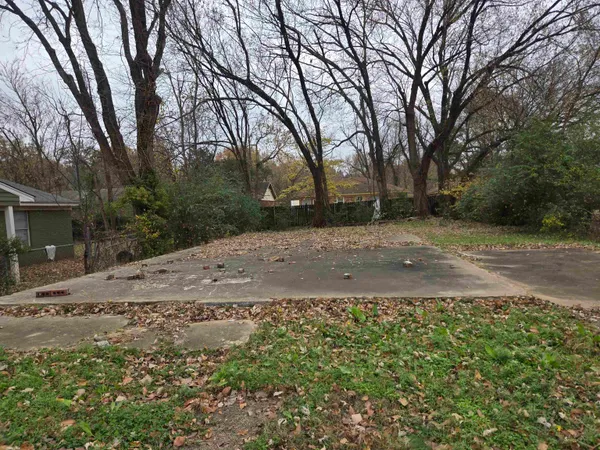 a view of a yard with trees