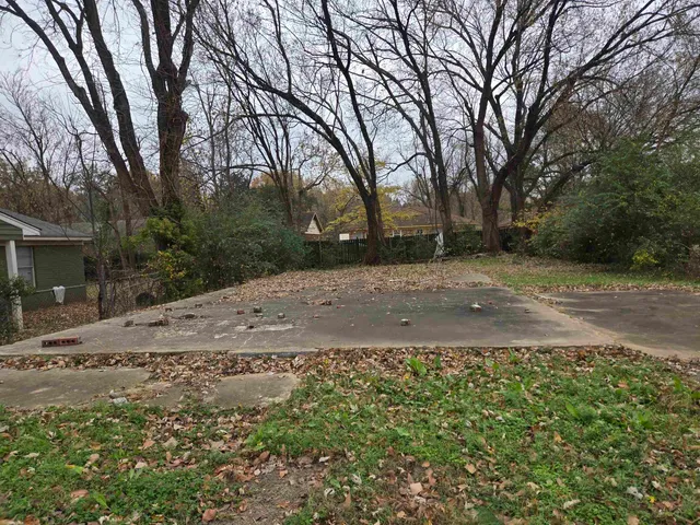 a view of a yard with trees