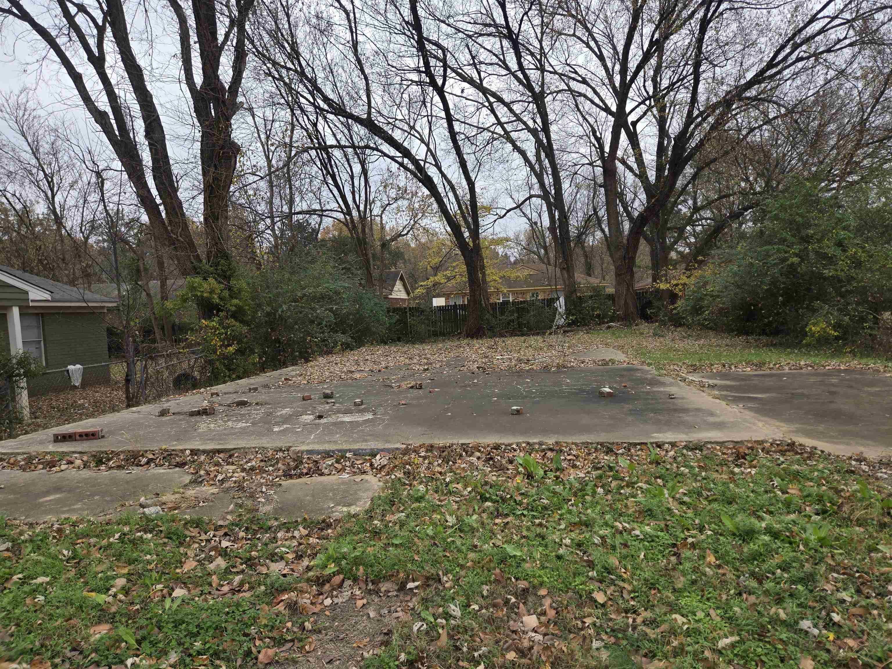 a view of a yard with trees
