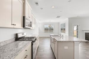 115 Forest Springs Road Moncks Corner, SC 29461 - Photo 10 of 36 Finley Kitchen