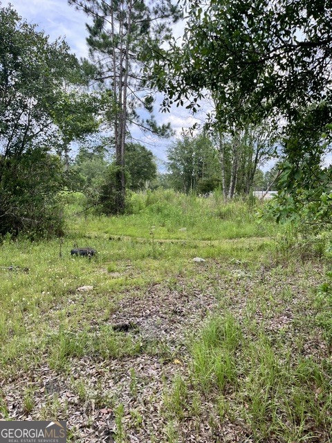 0 Jacobs Street Nahunta, GA 31553 - Photo 8 of 9