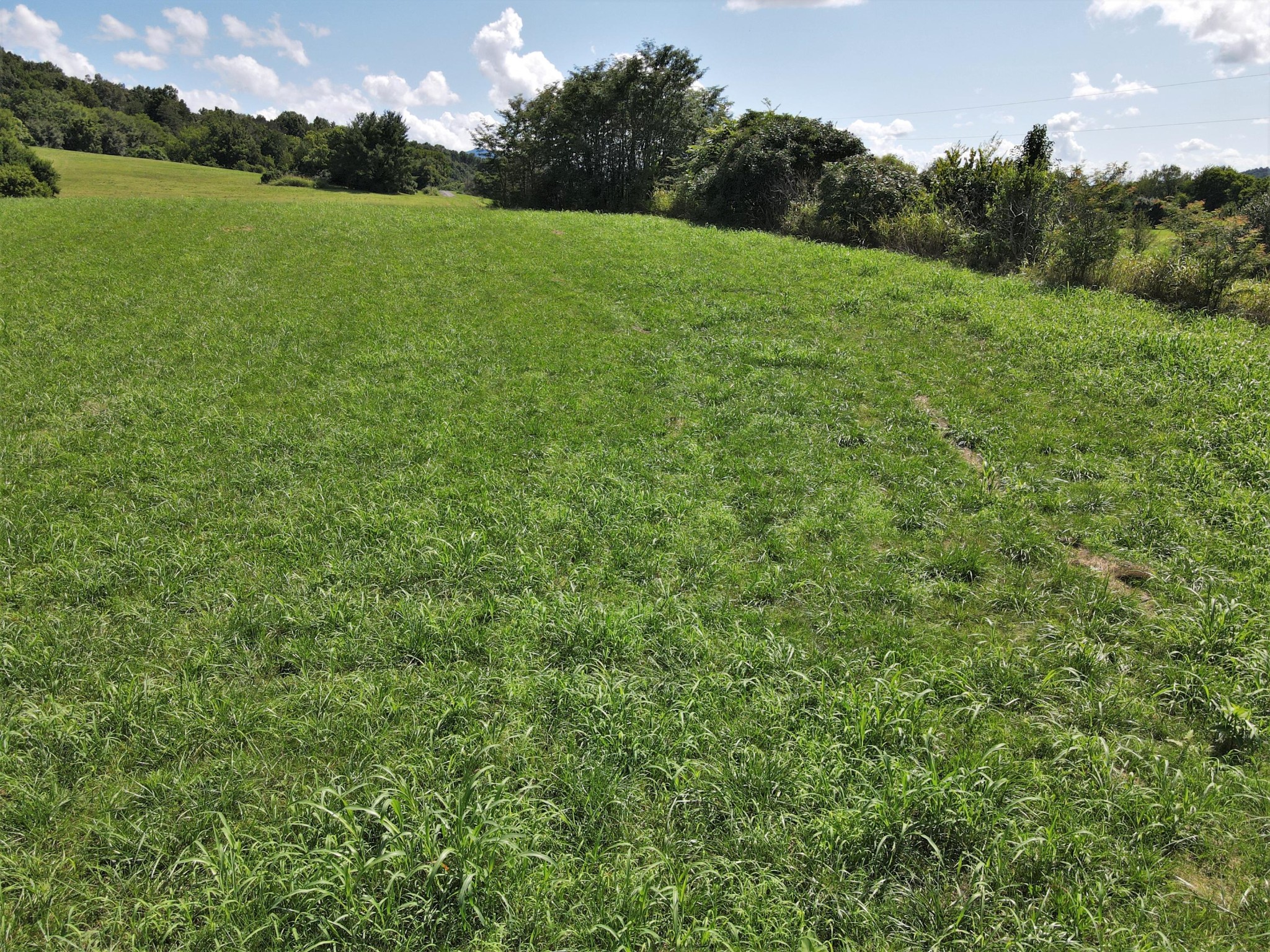 0 Fairfax Road Newport, TN 37821 - Photo 11 of 19