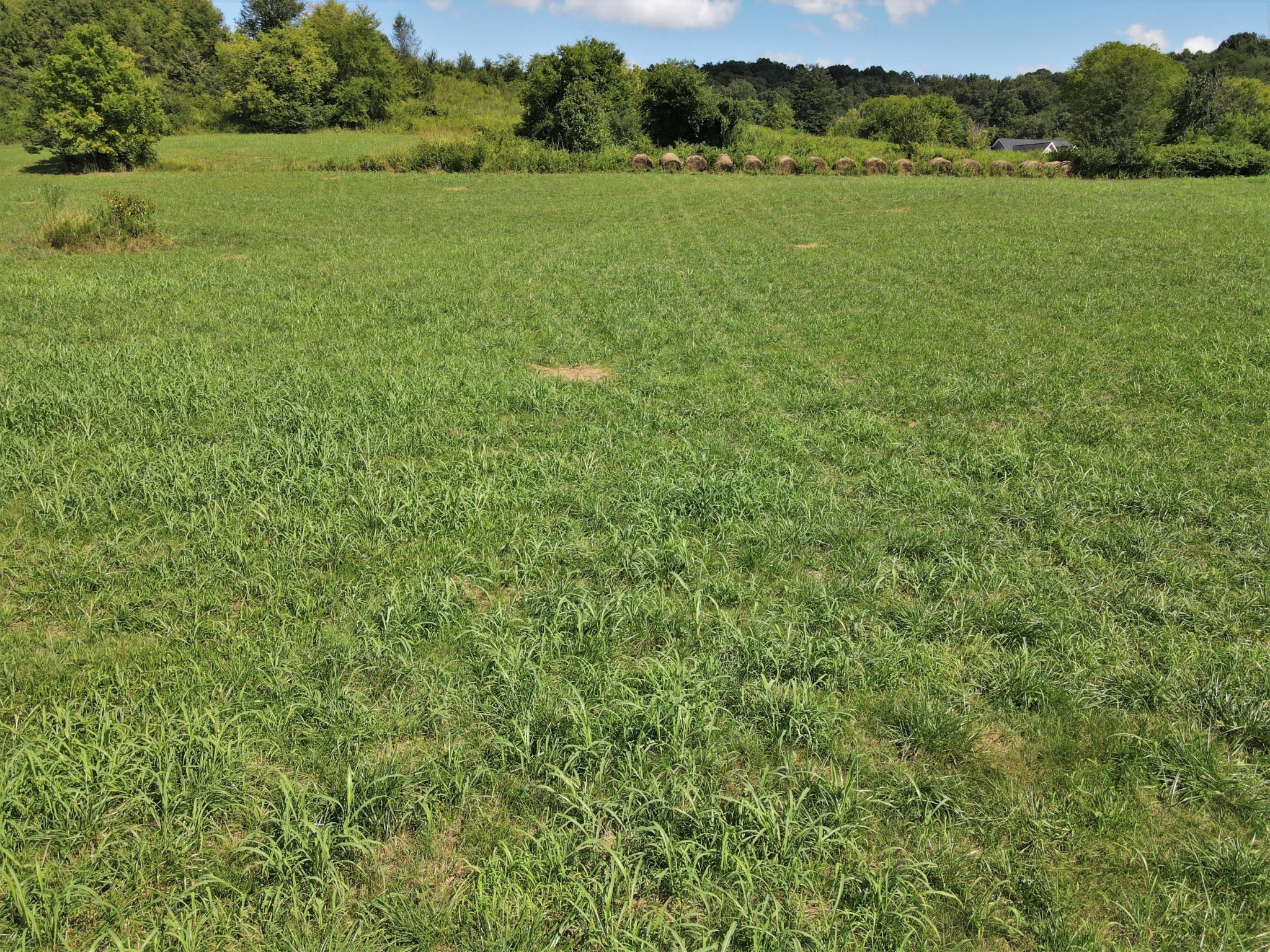 0 Fairfax Road Newport, TN 37821 - Photo 12 of 19