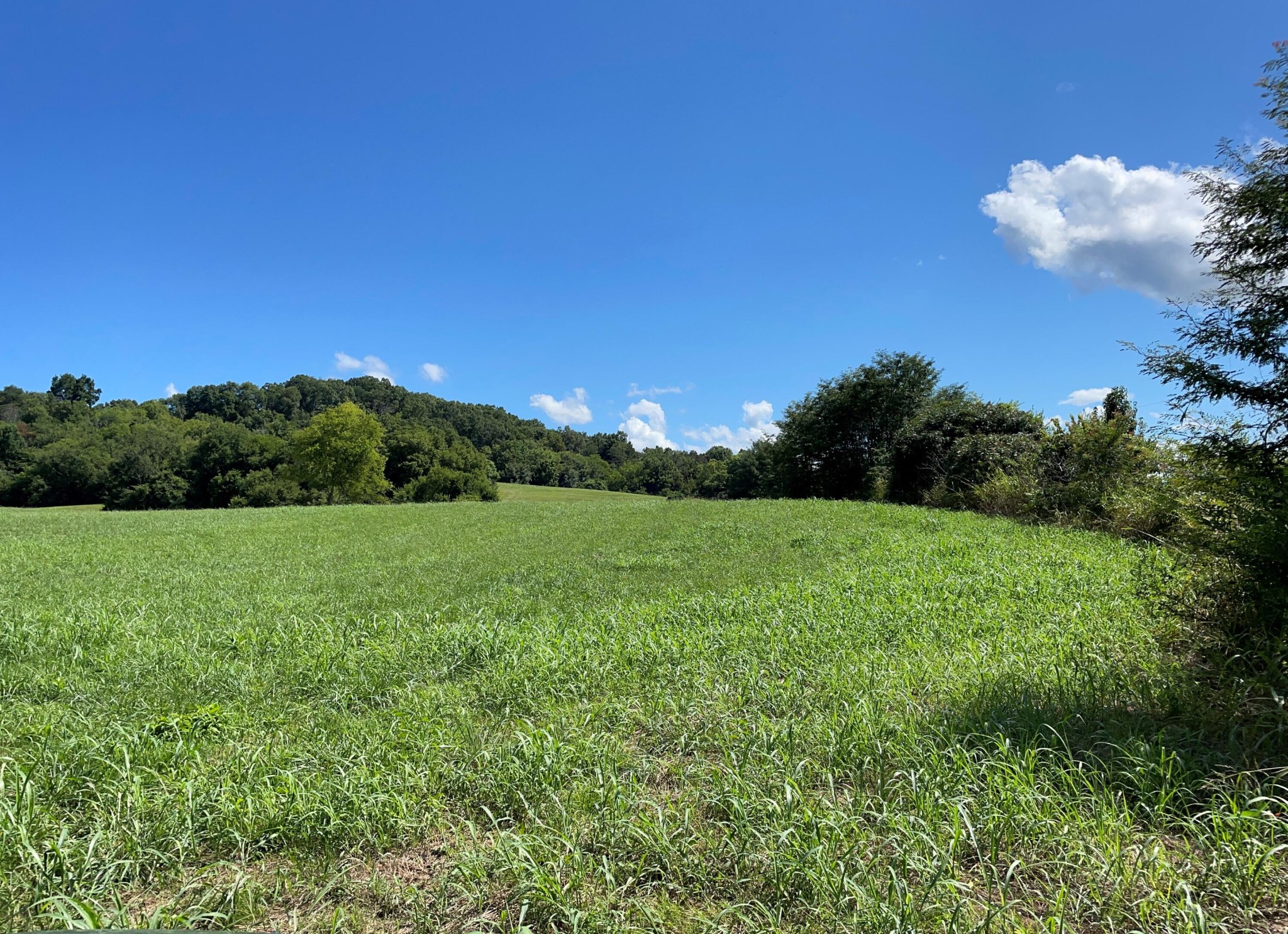 0 Fairfax Road Newport, TN 37821 - Photo 17 of 19