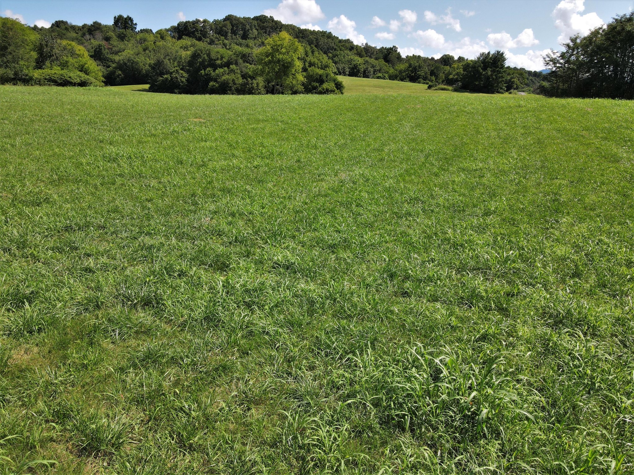 0 Fairfax Road Newport, TN 37821 - Photo 10 of 19