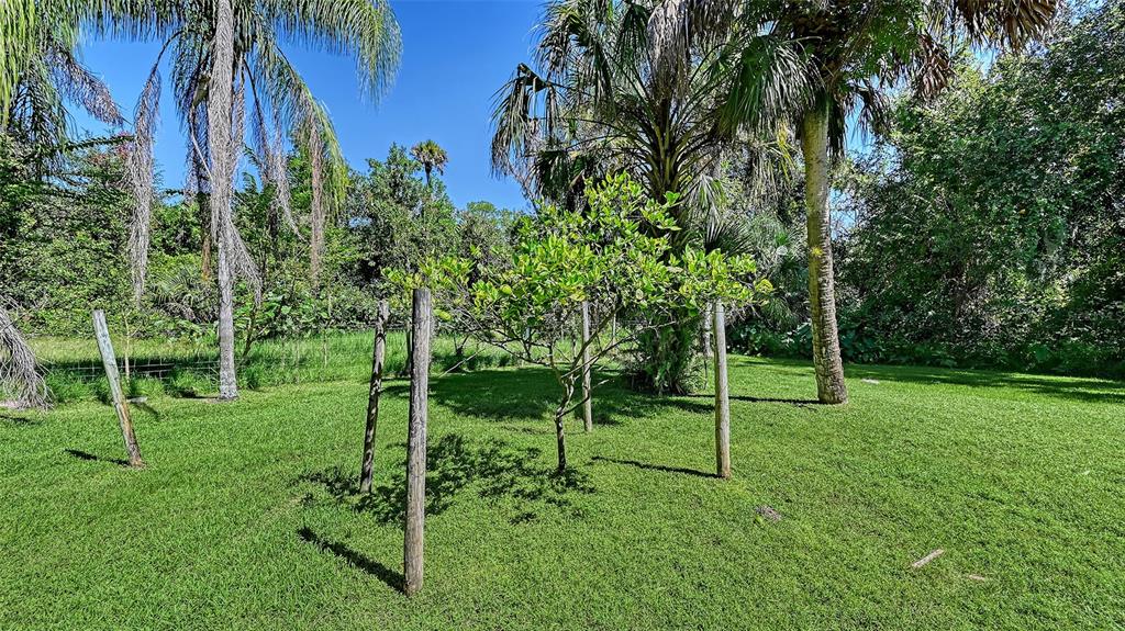 4674 Hidden River Road Sarasota, FL 34240 - Photo 31 of 46 a view of a park with a park