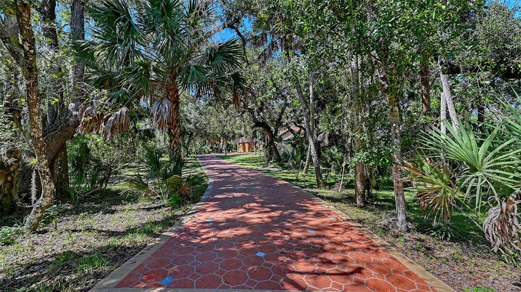 4674 Hidden River Road Sarasota, FL 34240 - Photo 44 of 46 a view of a park with large trees