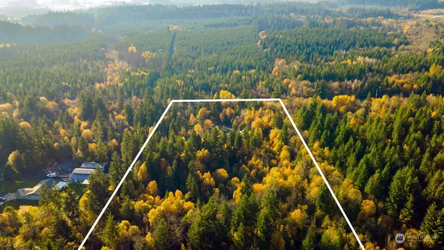 a view of a lake with lots of trees