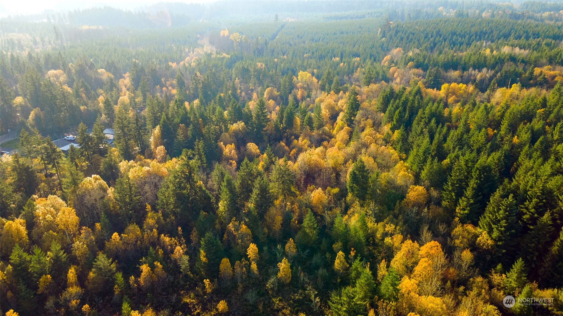 207 Meier Road Winlock, WA 98596 - Photo 16 of 33 a view of a lake with lots of trees