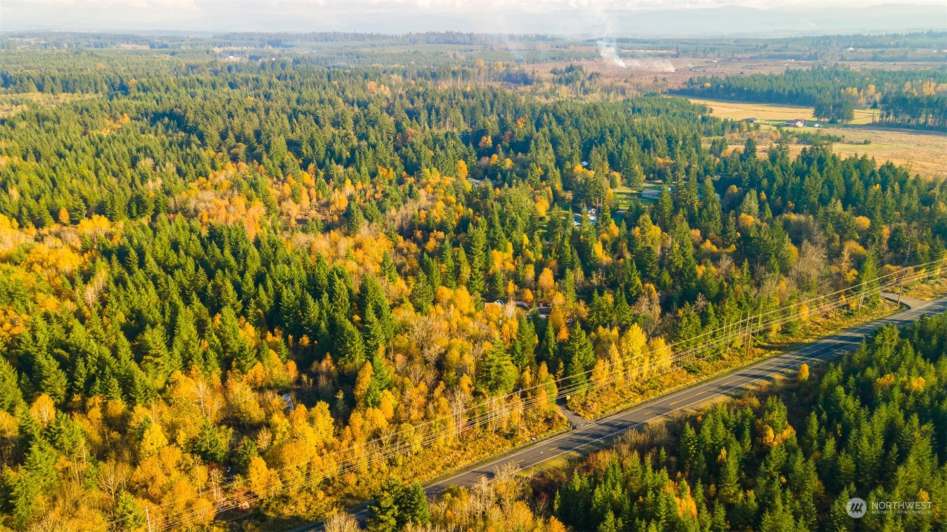 207 Meier Road Winlock, WA 98596 - Photo 21 of 33 a view of a city with lush green forest