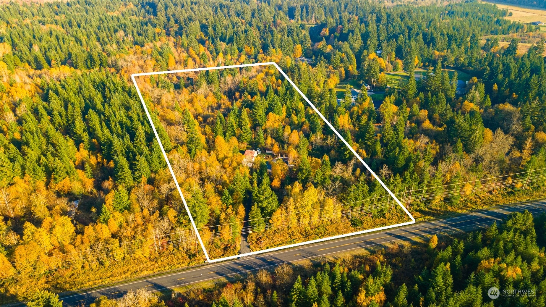 207 Meier Road Winlock, WA 98596 - Photo 22 of 33 a view of an empty room with a plant