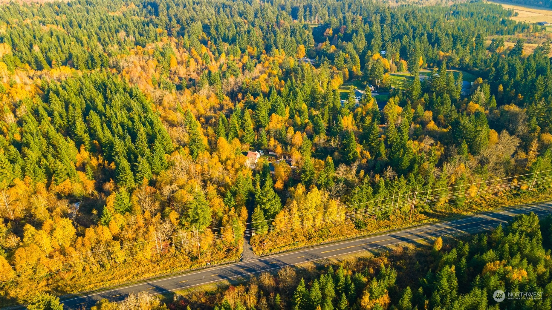 207 Meier Road Winlock, WA 98596 - Photo 23 of 33