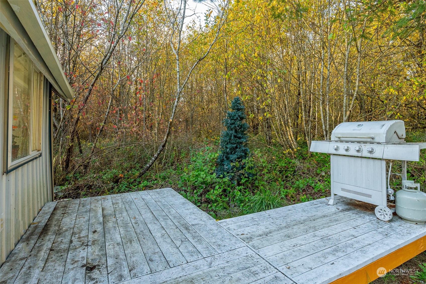 207 Meier Road Winlock, WA 98596 - Photo 30 of 33 a view of a backyard with a wooden fence