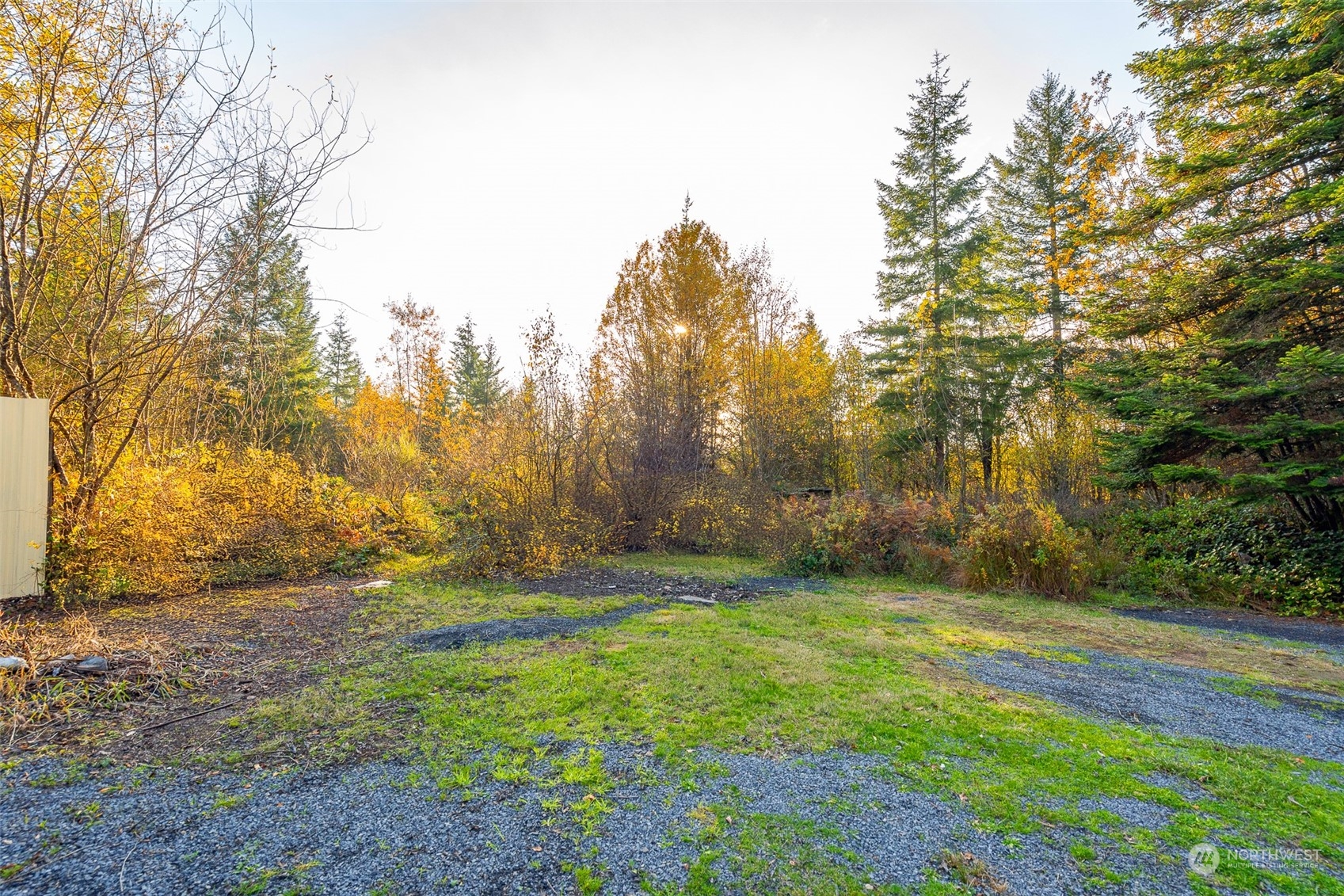 207 Meier Road Winlock, WA 98596 - Photo 4 of 33 a view of outdoor space with trees all around