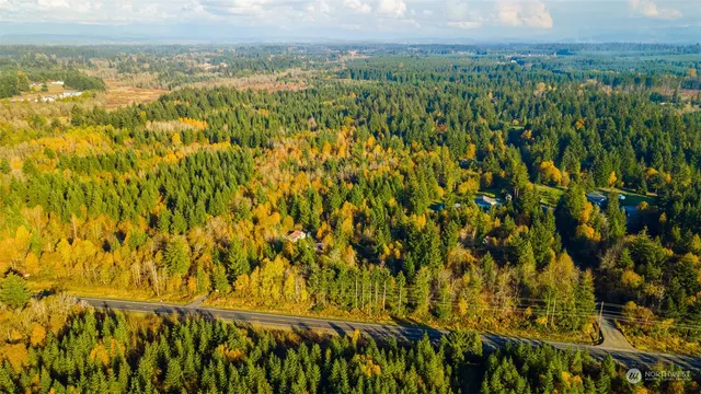 a view of a city with lush green forest