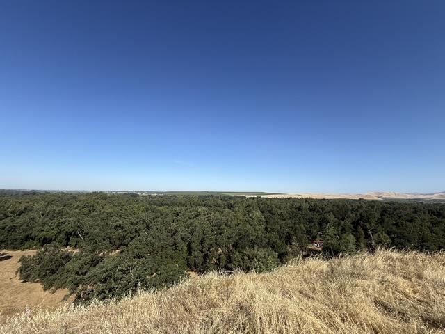 1900 North Piedra Road Sanger, CA 93657 - Photo 9 of 13