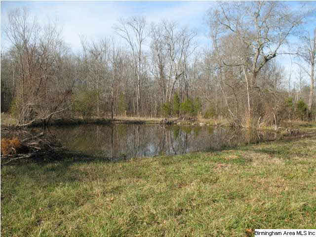1736 Pine Dale Road Ashville, AL 35953 - Photo 18 of 19