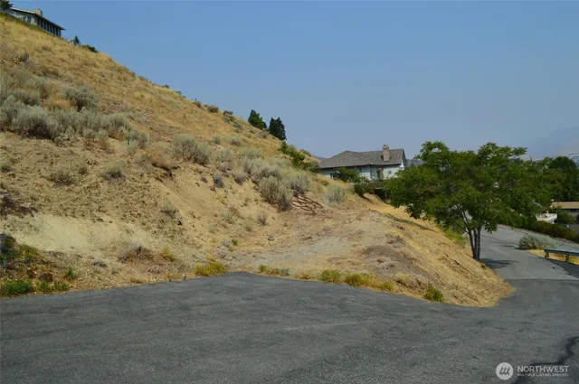 a view of a dry yard with trees in the background