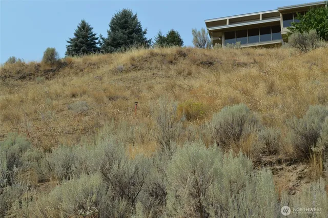 a view of a large mountains with lots of trees