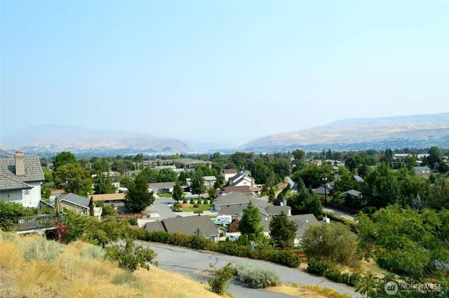 a view of a city with lush green forest
