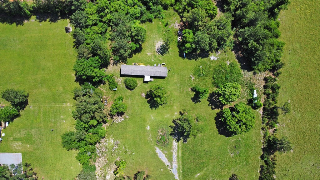 6088 Ganley Road Wewahitchka, FL 32465 - Photo 6 of 29