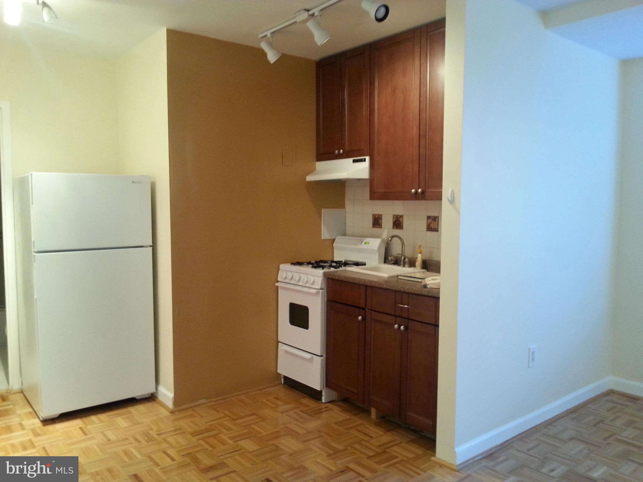 1111 Arlington Boulevard, Unit 437 Arlington, VA 22209 - Photo 5 of 14 a kitchen with stainless steel appliances granite countertop a refrigerator and a sink