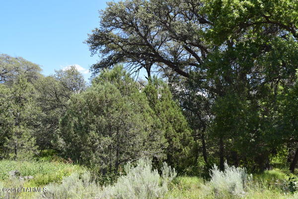 0 Mellor Road Elgin, AZ 85611 - Photo 7 of 9