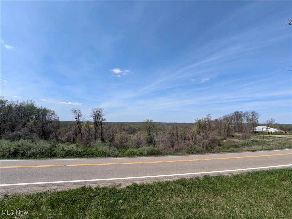 67739 Hendrysburg Freeport Road Barnesville, OH 43713 - Photo 16 of 26 Gallery Image 16