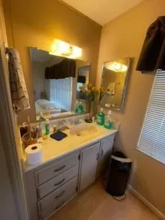 a bathroom with a sink and a mirror