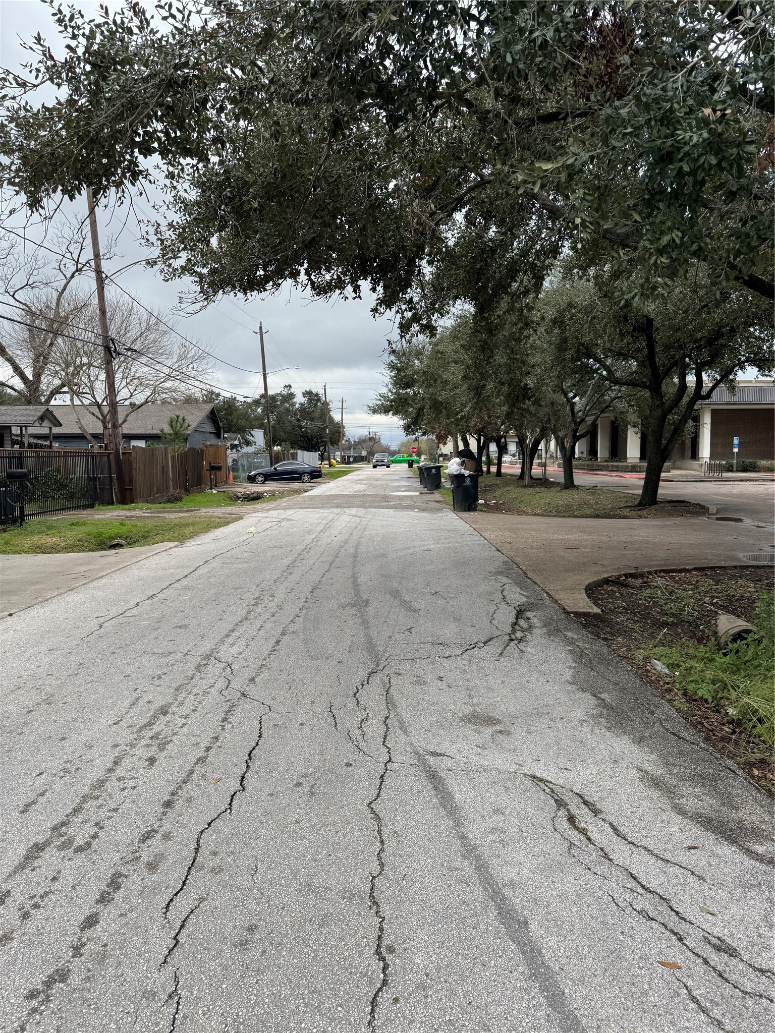 5419 Pardee Street Houston, TX 77026 - Photo 2 of 5 a row of palm trees and a yard with wooden fence