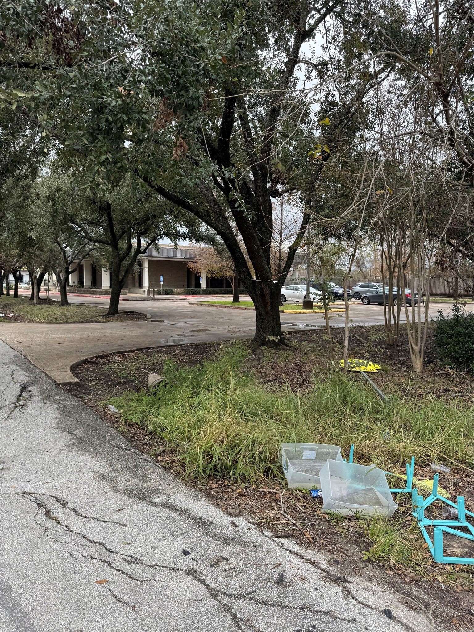 5419 Pardee Street Houston, TX 77026 - Photo 4 of 5 a view of a yard with plants and trees