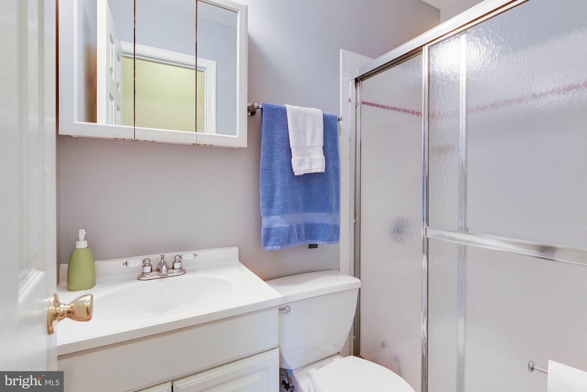 349 Kentucky Avenue Southeast Washington, DC 20003 - Photo 19 of 29 a bathroom with a sink a toilet and shower