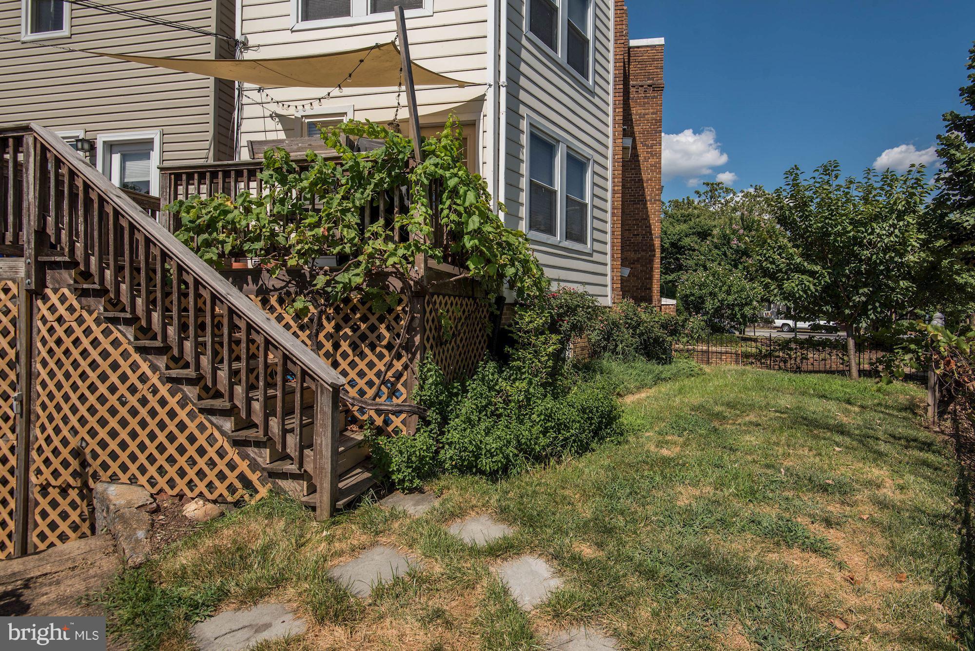 349 Kentucky Avenue Southeast Washington, DC 20003 - Photo 28 of 29 a view of a garden