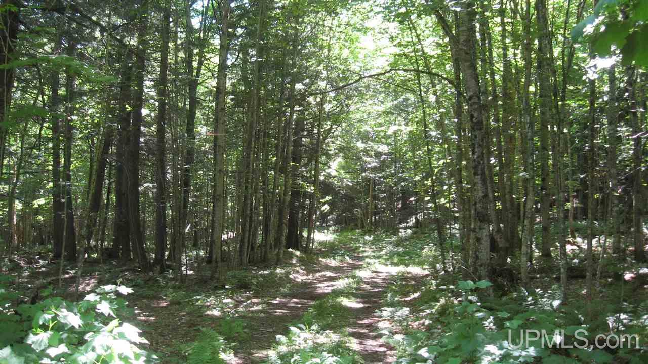 0 Big Bay Road Negaunee, MI 49866 - Photo 12 of 13