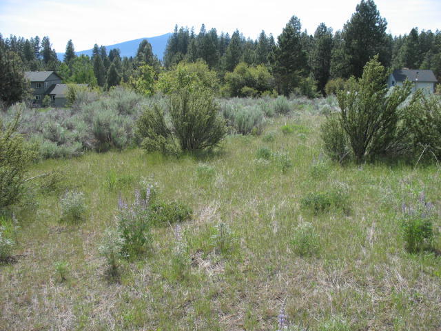 Irving Way, Unit 3 Chiloquin, OR 97624 - Photo 4 of 10 2019-06-10 16.01.22