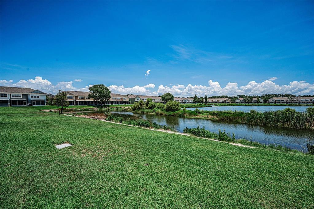 10155 Haverhill Ridge Drive Riverview, FL 33578 - Photo 26 of 39