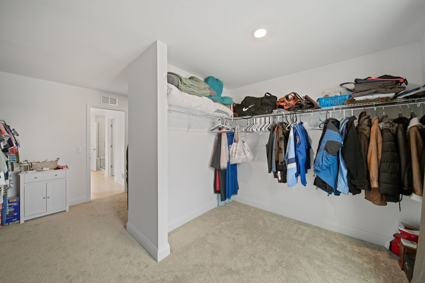 119 Ellis Road Algonquin, IL 60102 - Photo 19 of 31