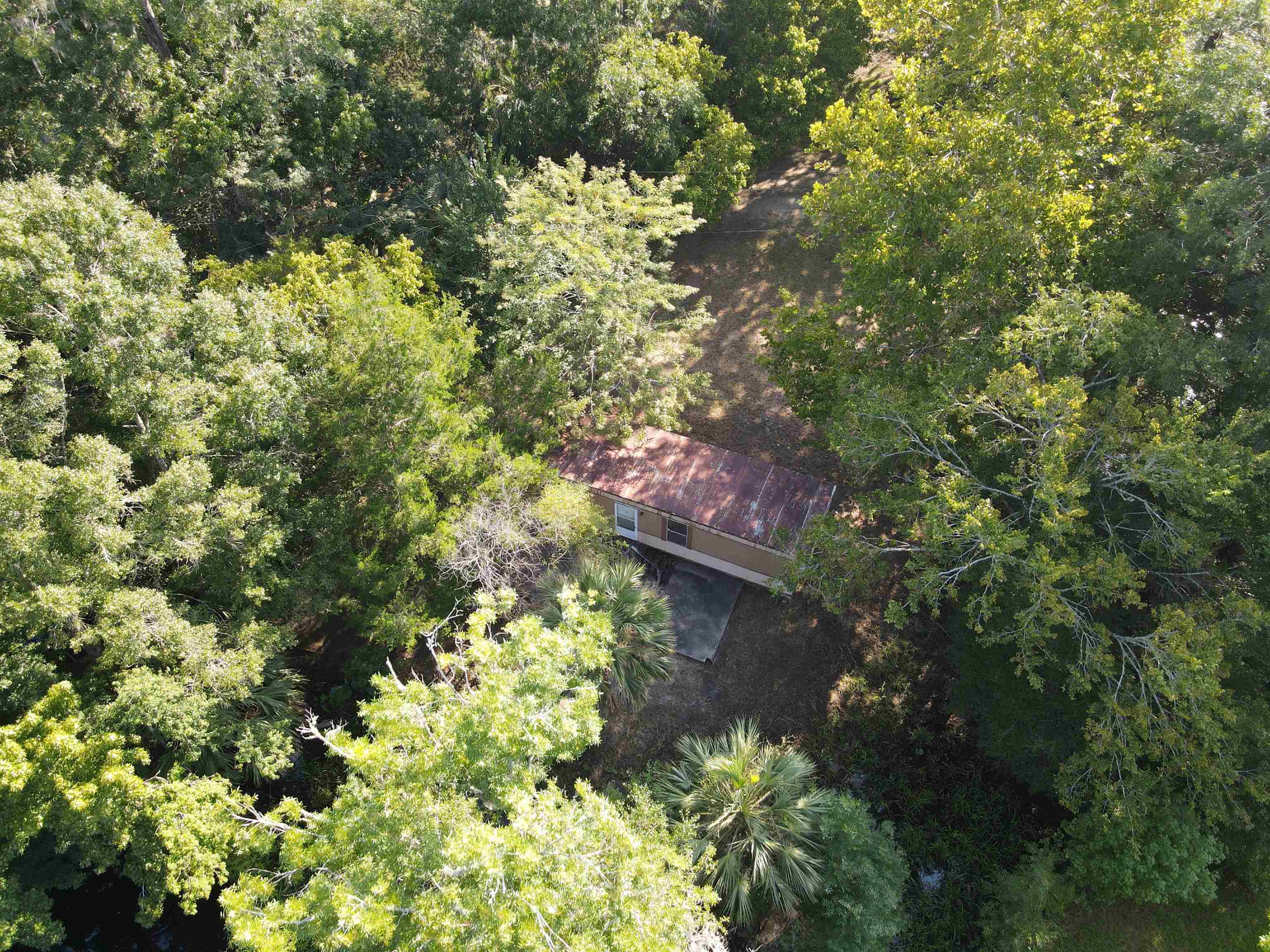 23210 Nutall Rise Road Lamont, FL 32336 - Photo 11 of 23