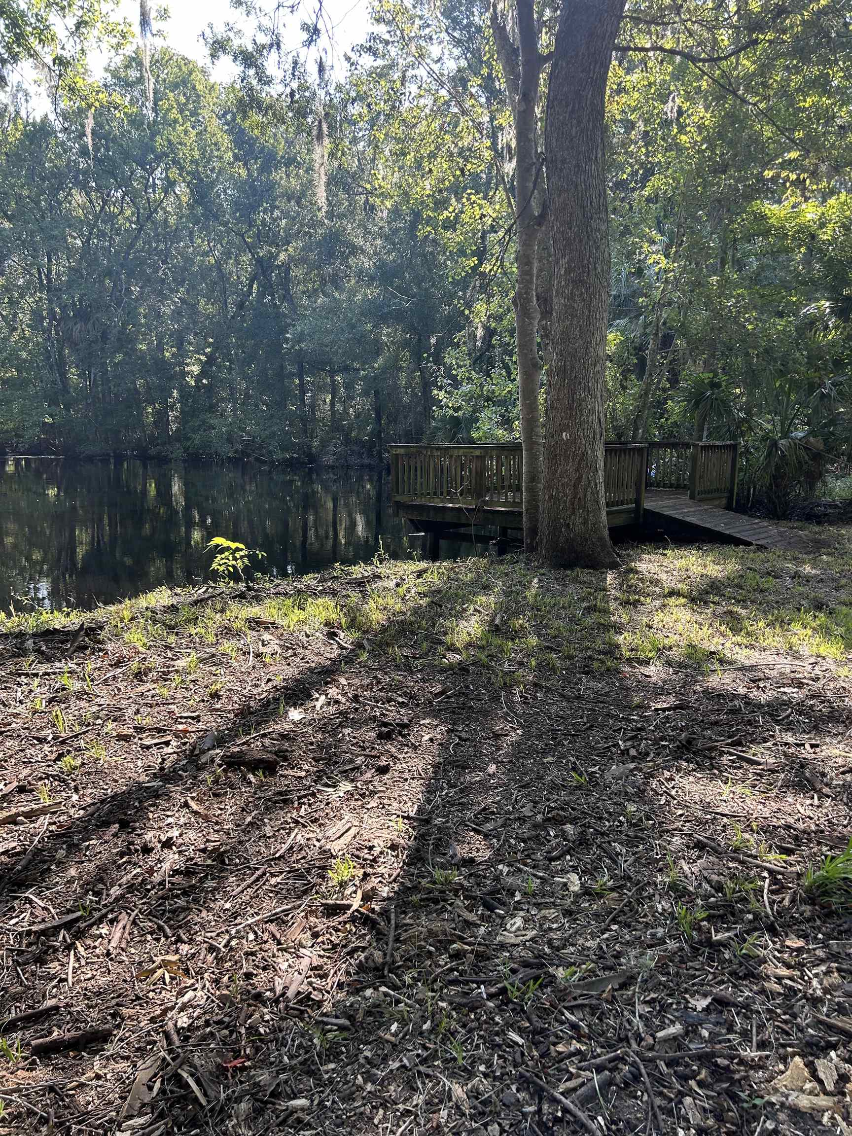 23210 Nutall Rise Road Lamont, FL 32336 - Photo 12 of 23