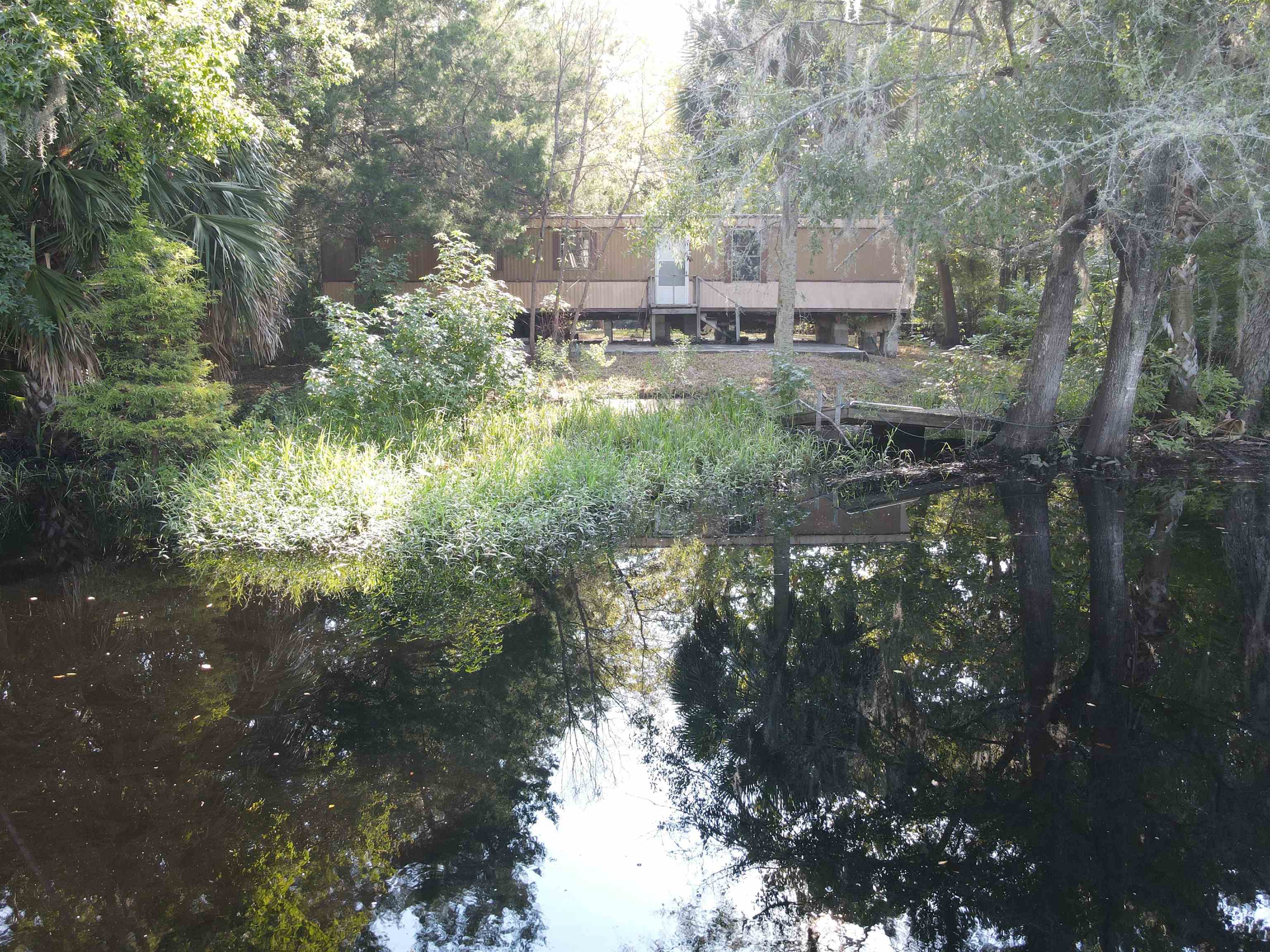 23210 Nutall Rise Road Lamont, FL 32336 - Photo 4 of 23