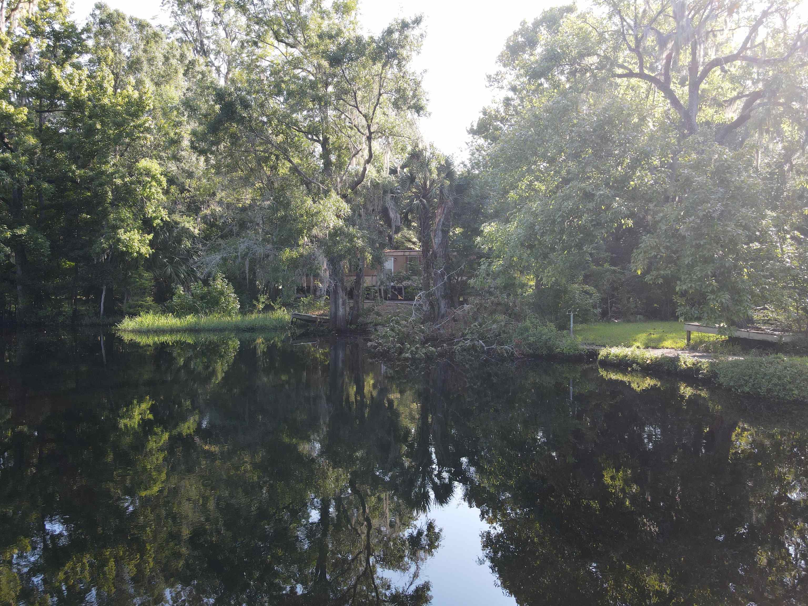 23210 Nutall Rise Road Lamont, FL 32336 - Photo 8 of 23