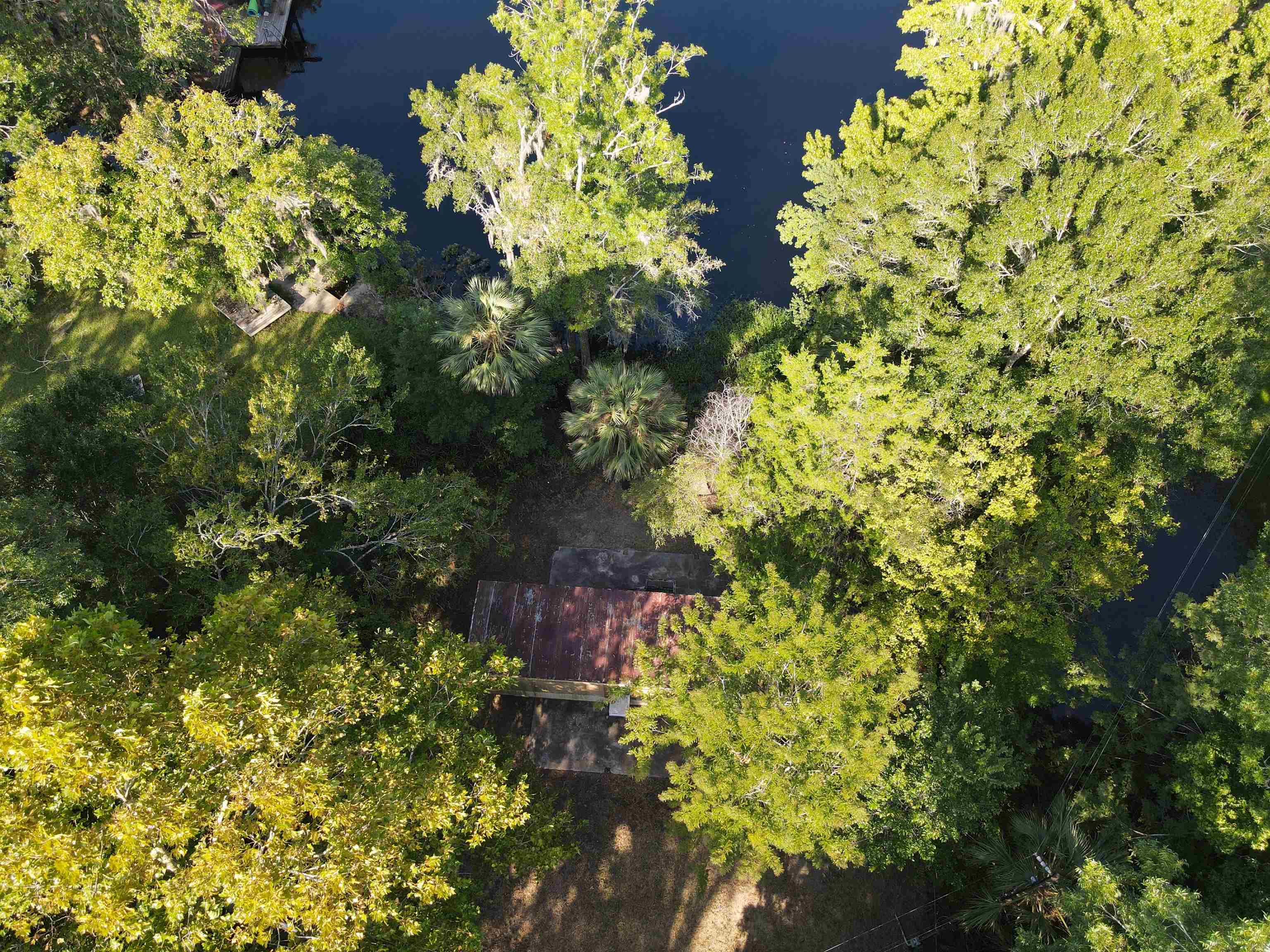 23210 Nutall Rise Road Lamont, FL 32336 - Photo 10 of 23