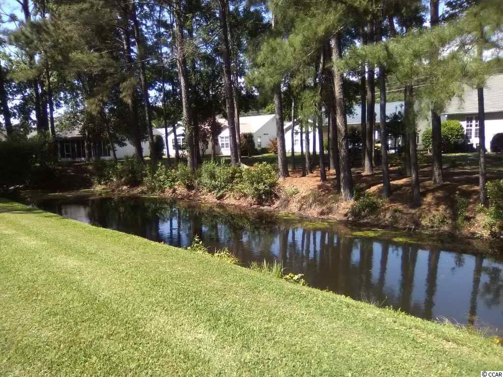 2407 Warbler Court Murrells Inlet, SC 29576 - Photo 20 of 25 Gallery Image 20