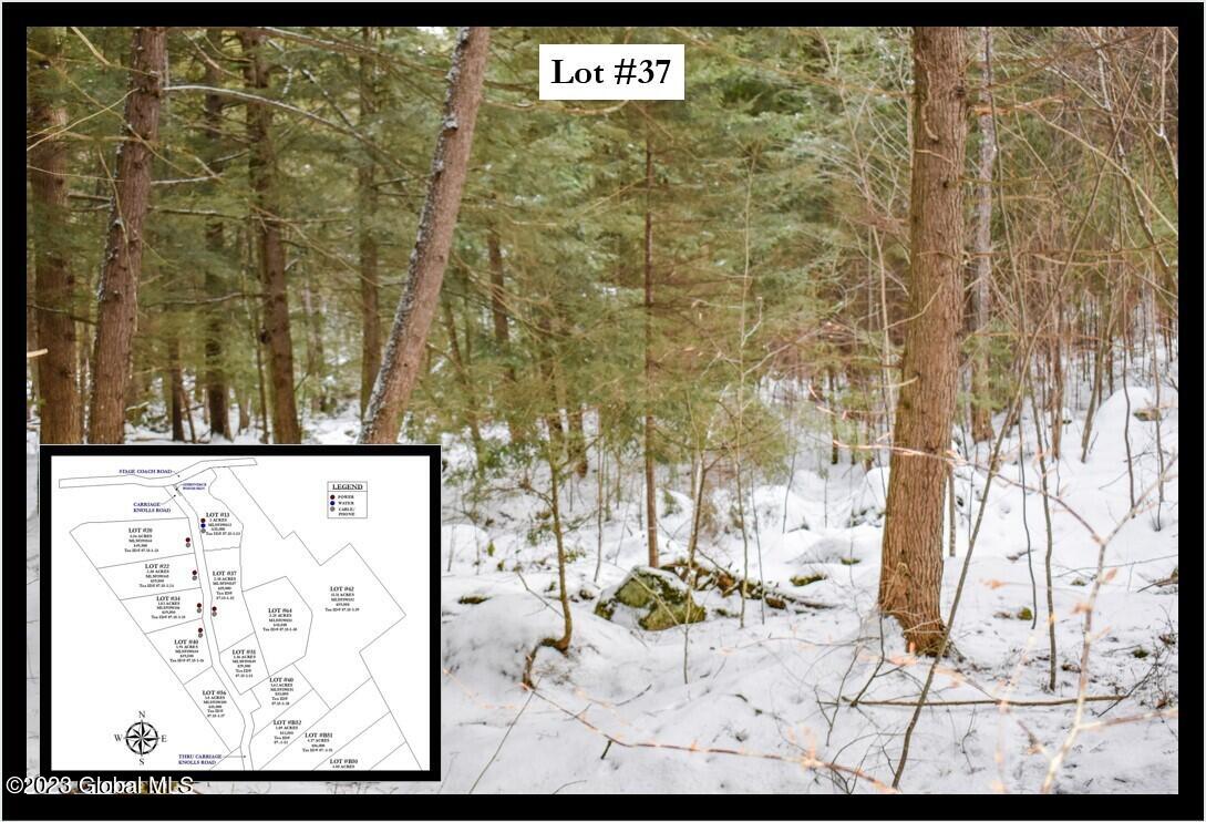 37 Carriage Road Chestertown, NY 12817 - Photo 1 of 25 Cover Framed Lot#37