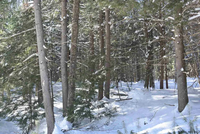 $39,000 | 37 Carriage Road, Chestertown, NY 12817