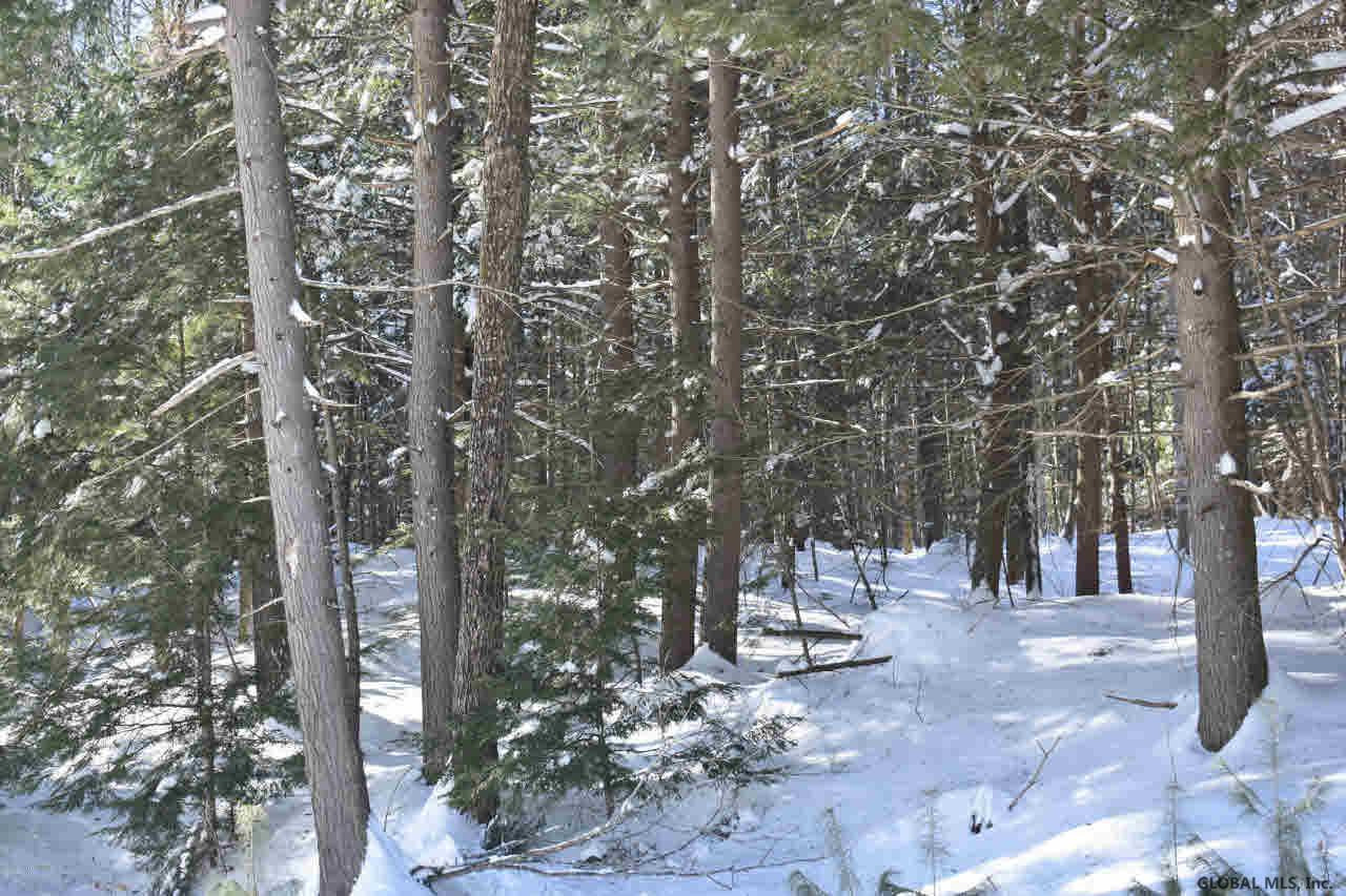 37 Carriage Road Chestertown, NY 12817 - Photo 11 of 25 Photo 11