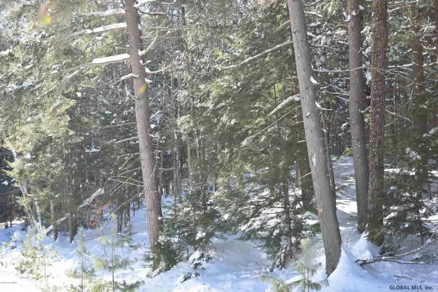 $39,000 | 37 Carriage Road, Chestertown, NY 12817