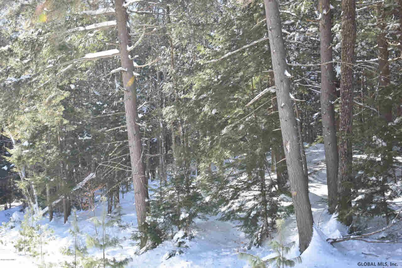 37 Carriage Road Chestertown, NY 12817 - Photo 12 of 25 Photo 12