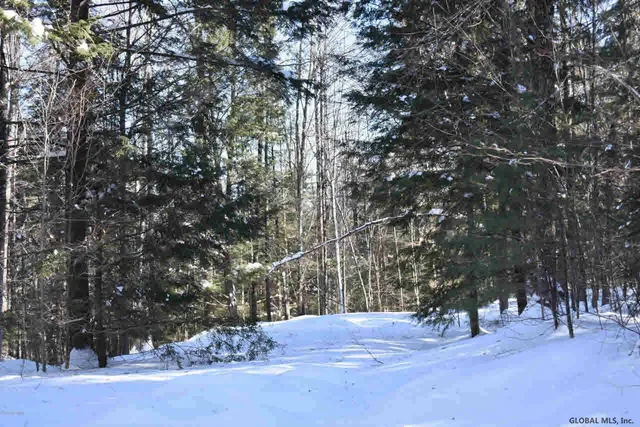 $39,000 | 37 Carriage Road, Chestertown, NY 12817